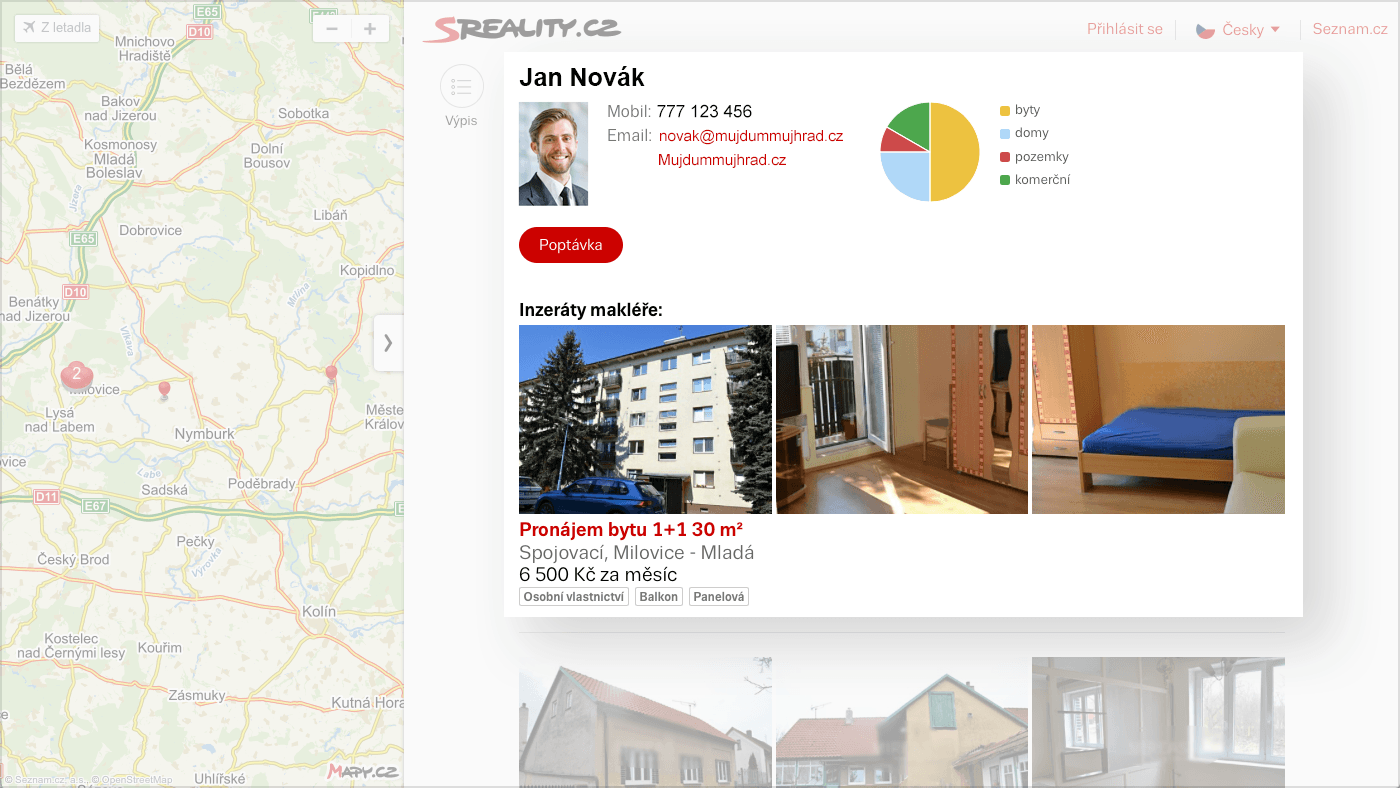 Example of agent profile.